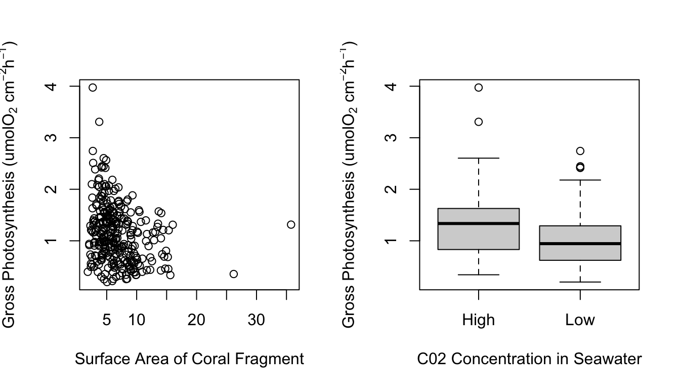 Plot on the left shows a scatter plot of gross photosynthesis against surface area of coral fragments. Plot on the right shows a box plot of gross photosynthesis of corals at high and low C02 concentrations of seawater.